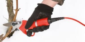 Die Felco 801 in einem Weinberg in Aktion