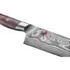 Miyabi Iki Santoku – Bild 5