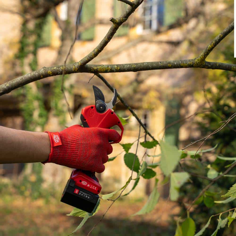 FELCO 2e Elektrische Astschere – Bild 6